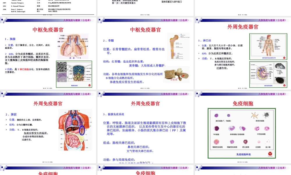 人体免疫系统概述.pptx