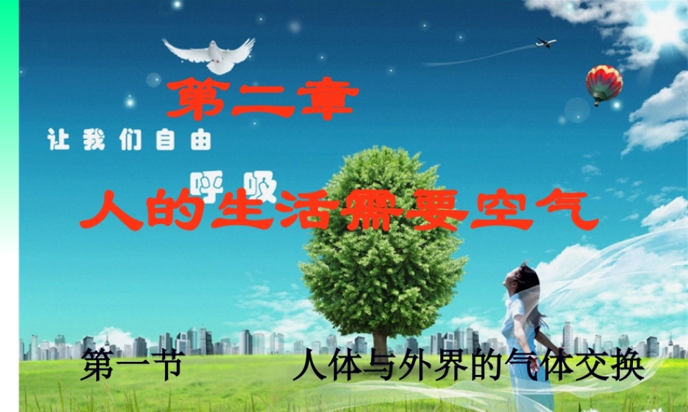 人体与外界的气体交换-济南板2012.2.26.pptx