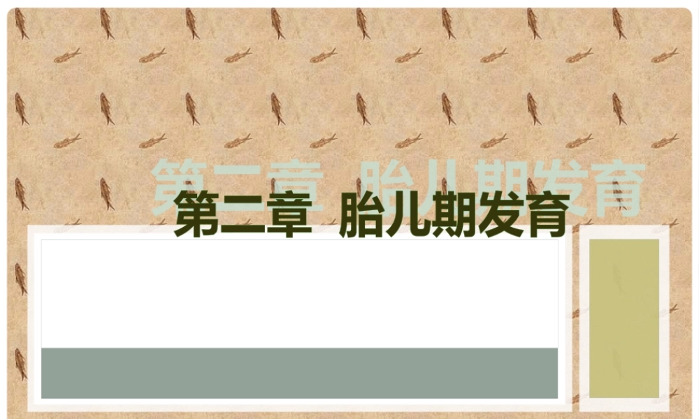 人体发育学02胎儿期.pptx