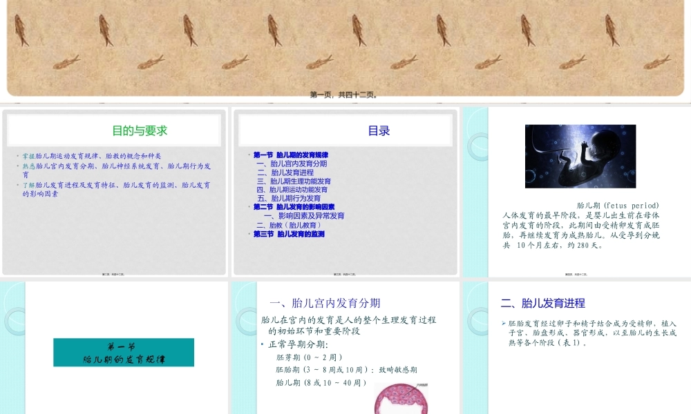 人体发育学02胎儿期.pptx