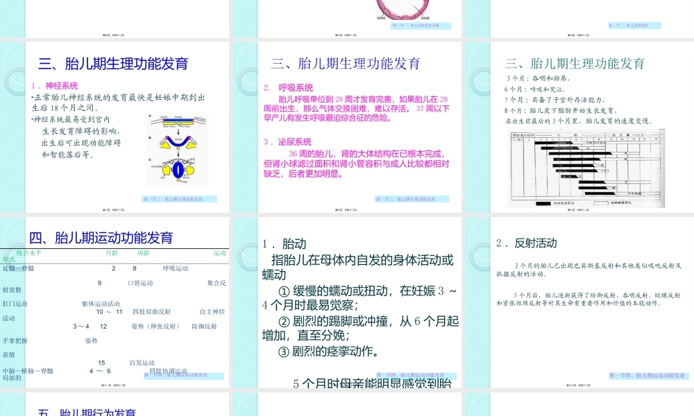 人体发育学02胎儿期.pptx