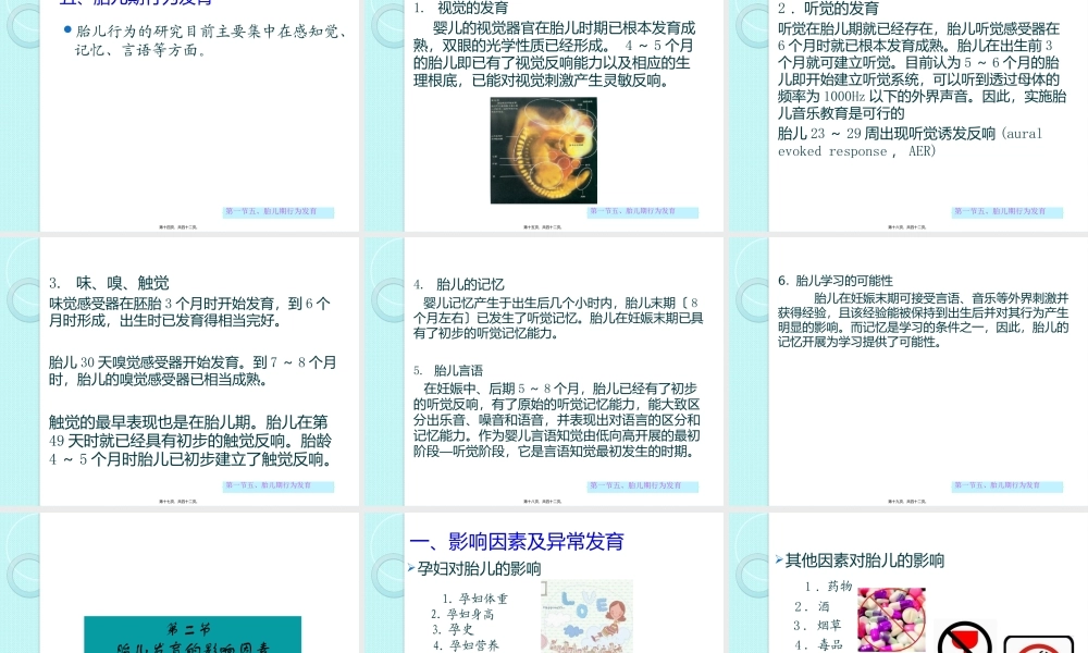 人体发育学02胎儿期.pptx