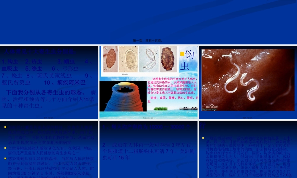 人体十大寄生虫概述.pptx