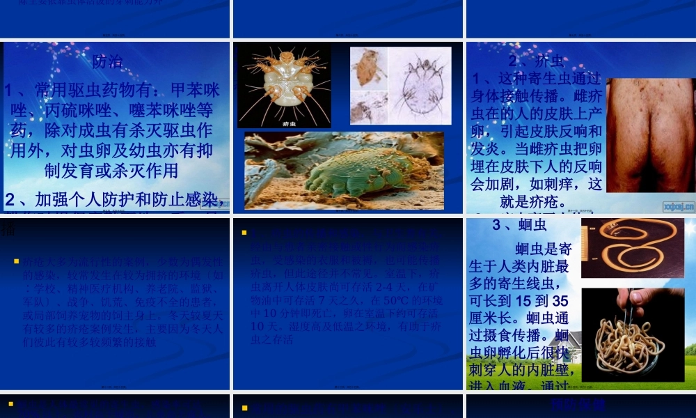 人体十大寄生虫概述.pptx