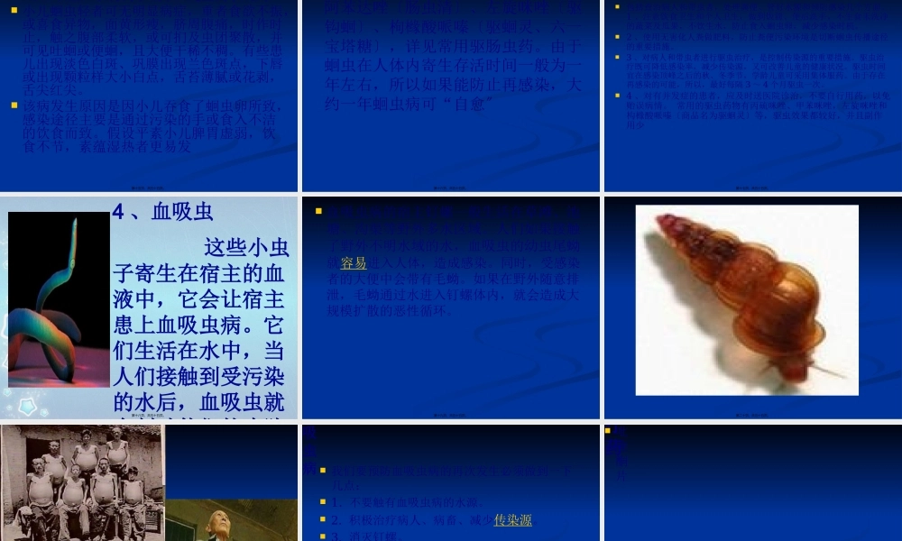 人体十大寄生虫概述.pptx