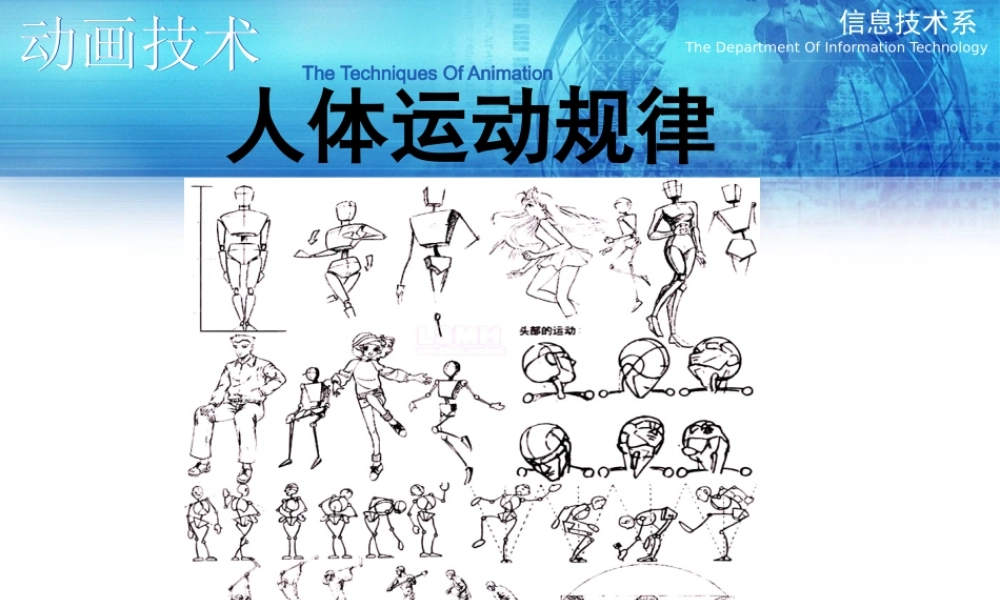 人体运动规律.pptx