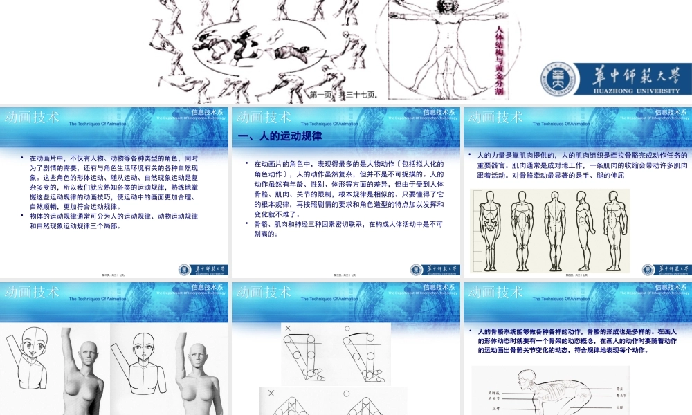 人体运动规律.pptx