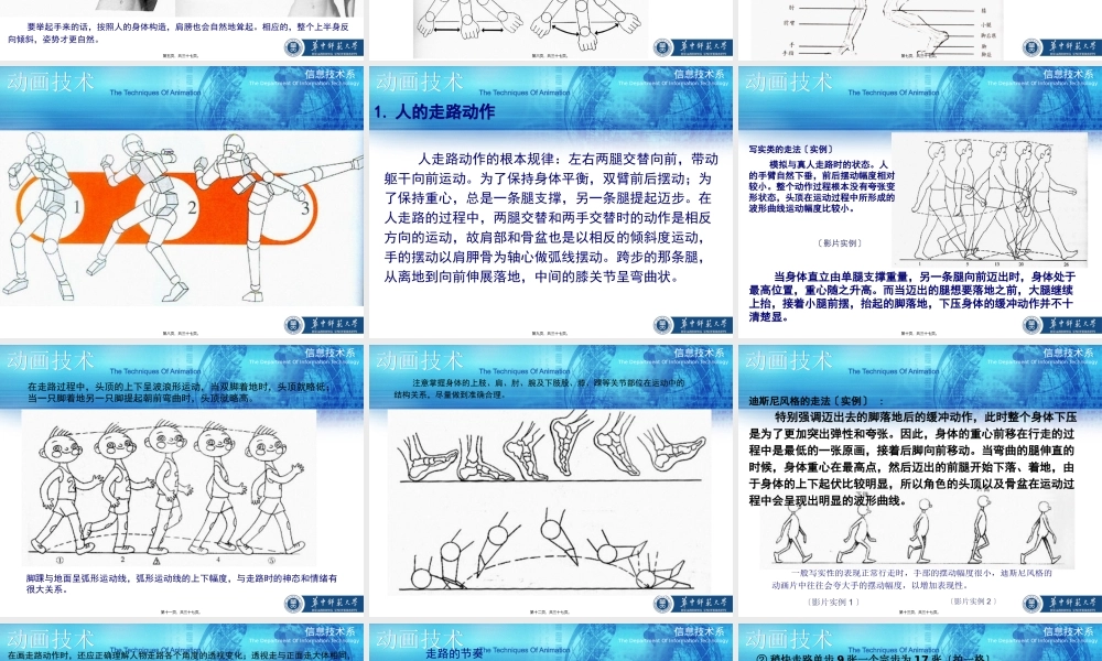 人体运动规律.pptx