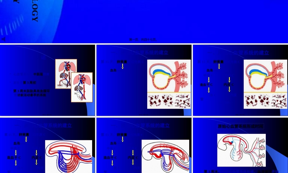 人体组织学和胚胎学(之心脏发生).pptx