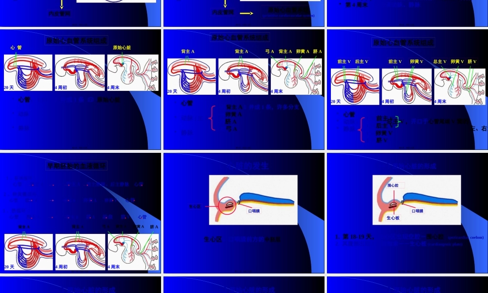 人体组织学和胚胎学(之心脏发生).pptx