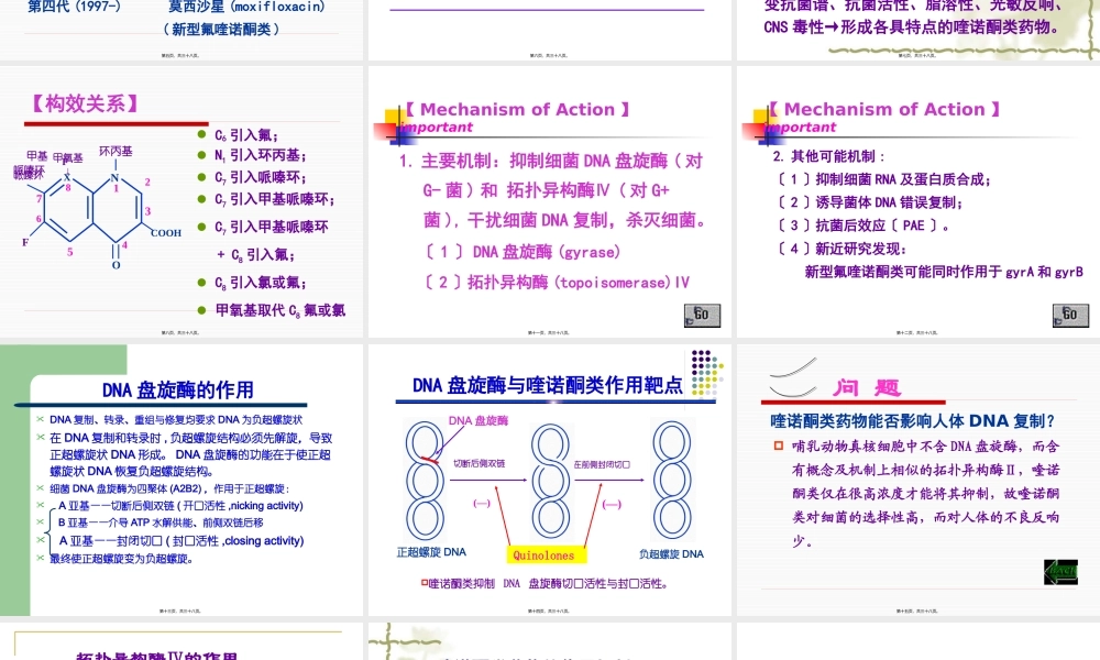 人工合成抗菌药-喹诺酮类--薛占霞.pptx