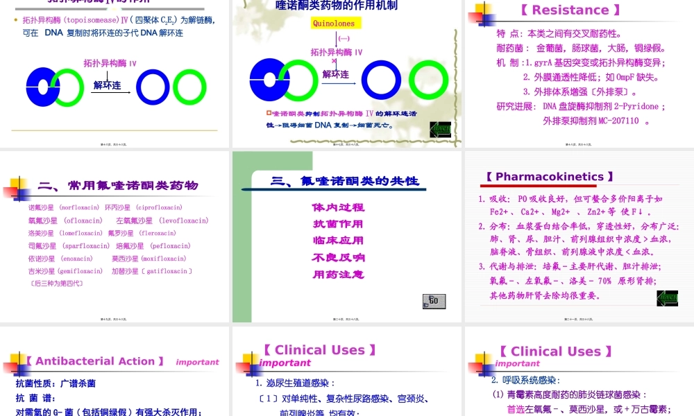 人工合成抗菌药-喹诺酮类--薛占霞.pptx