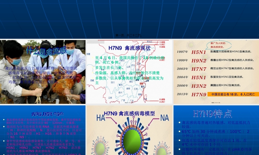 人感染-H7N9-禽流知识宣讲.pptx
