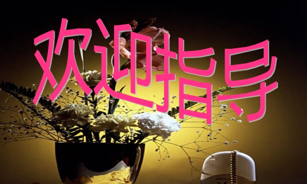 人类重要的营养物质(2).pptx