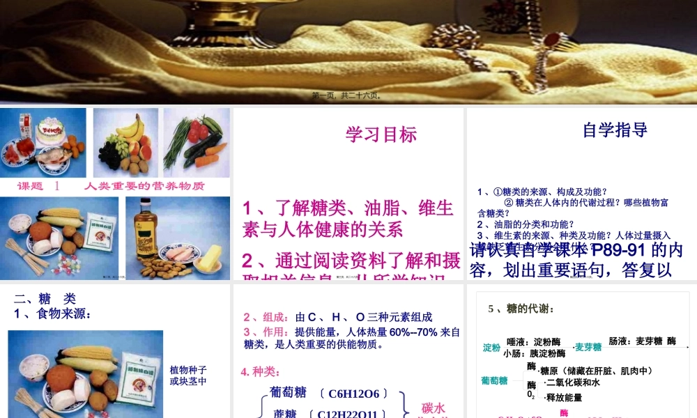 人类重要的营养物质(2).pptx