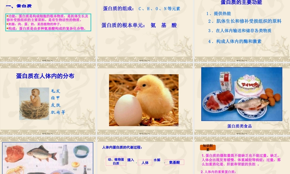 人类重要的营养物质..pptx