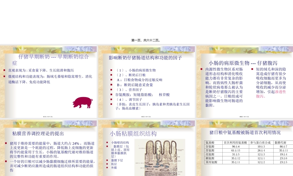 仔猪营养最新进展.pptx