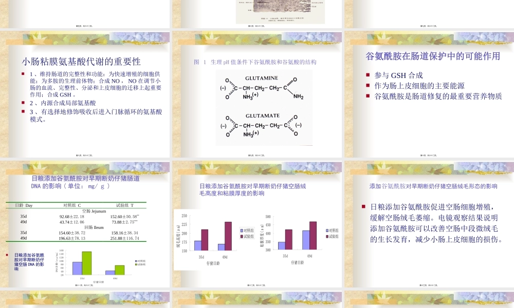仔猪营养最新进展.pptx