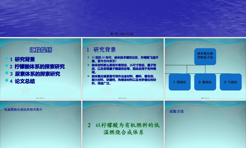 以柠檬酸及尿素为有机燃料的.pptx