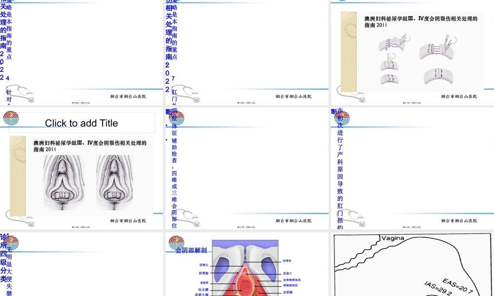 会阴裂伤修补.pptx