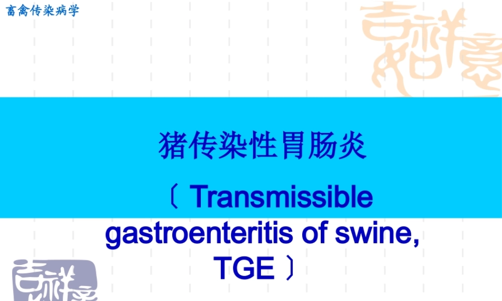 传染性胃肠炎..pptx
