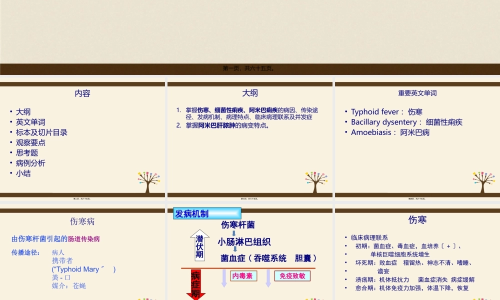 传染病-神经-骨关节-陈罡.pptx