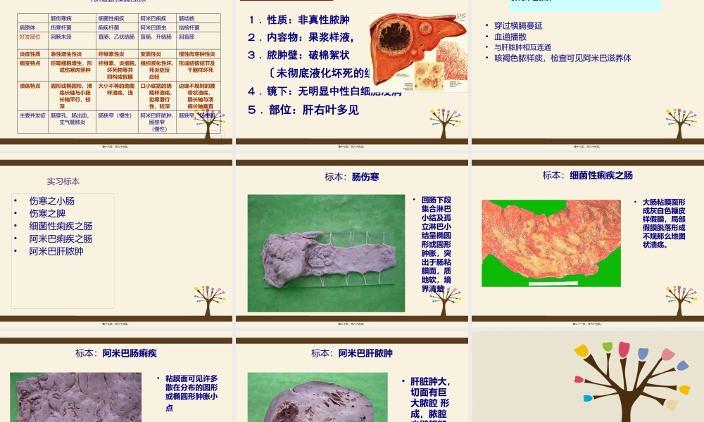 传染病-神经-骨关节-陈罡.pptx