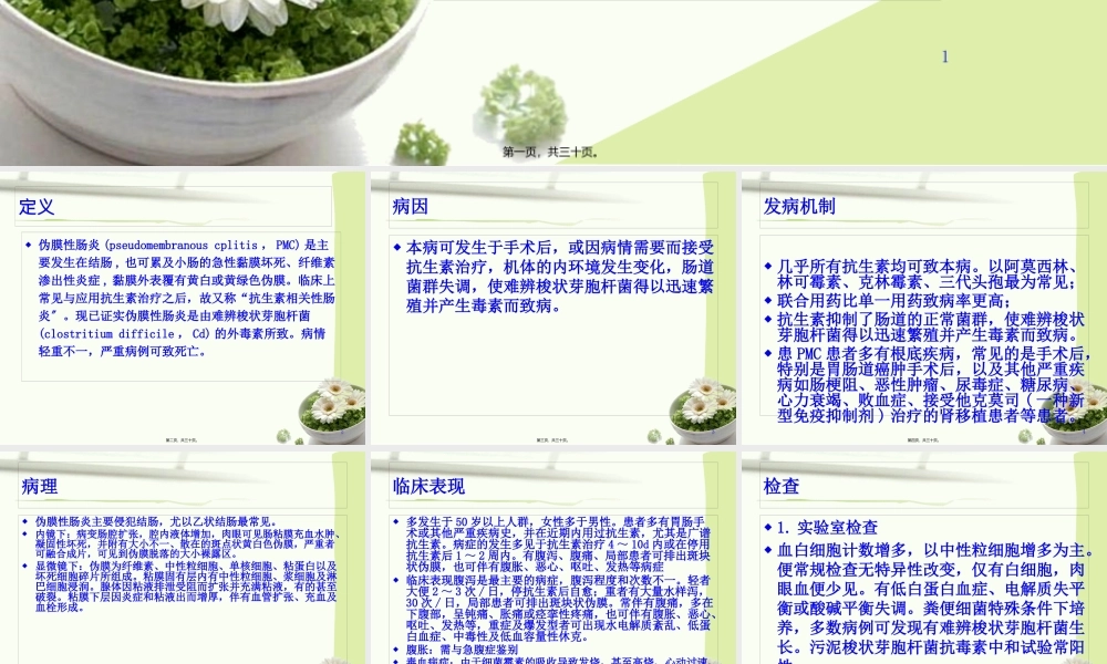 伪膜性肠炎...pptx