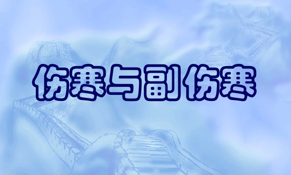 伤寒与副伤寒.pptx