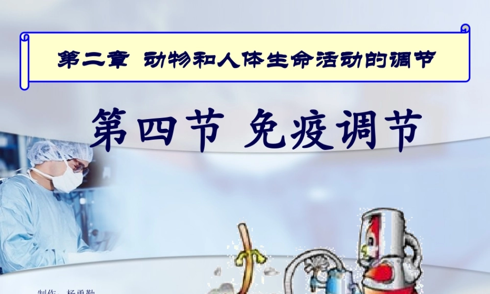 体液免疫的过程抗原吞噬细胞.pptx