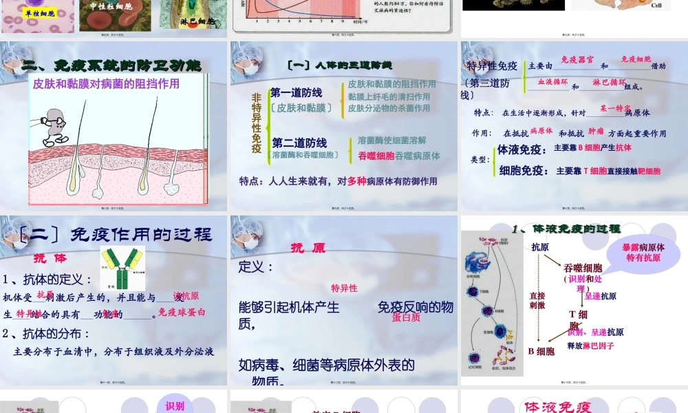 体液免疫的过程抗原吞噬细胞.pptx