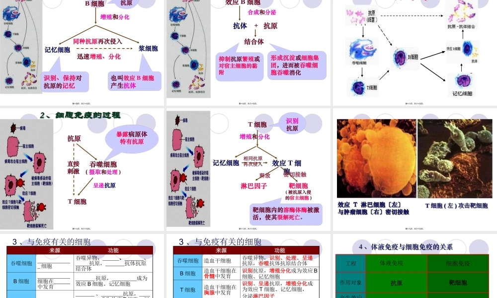 体液免疫的过程抗原吞噬细胞.pptx