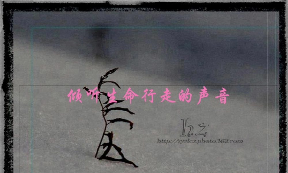 倾听生命行走的声音.pptx