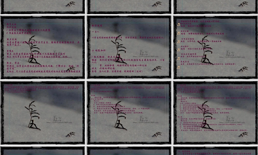 倾听生命行走的声音.pptx