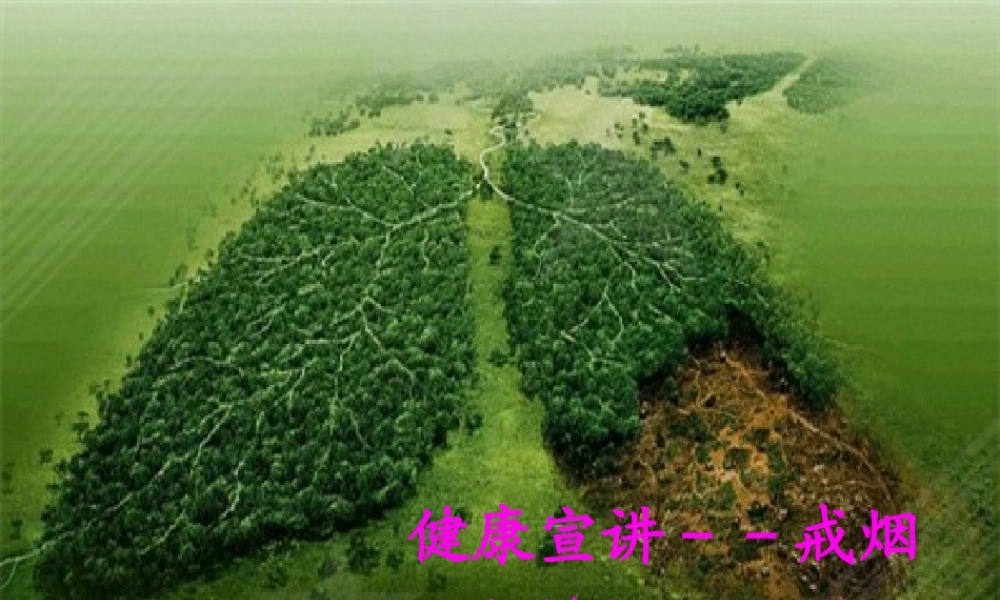 健康宣讲--戒烟.pptx