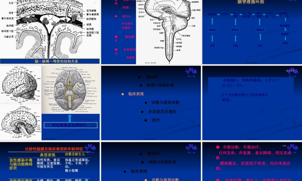 儿科脑膜炎教学.pptx
