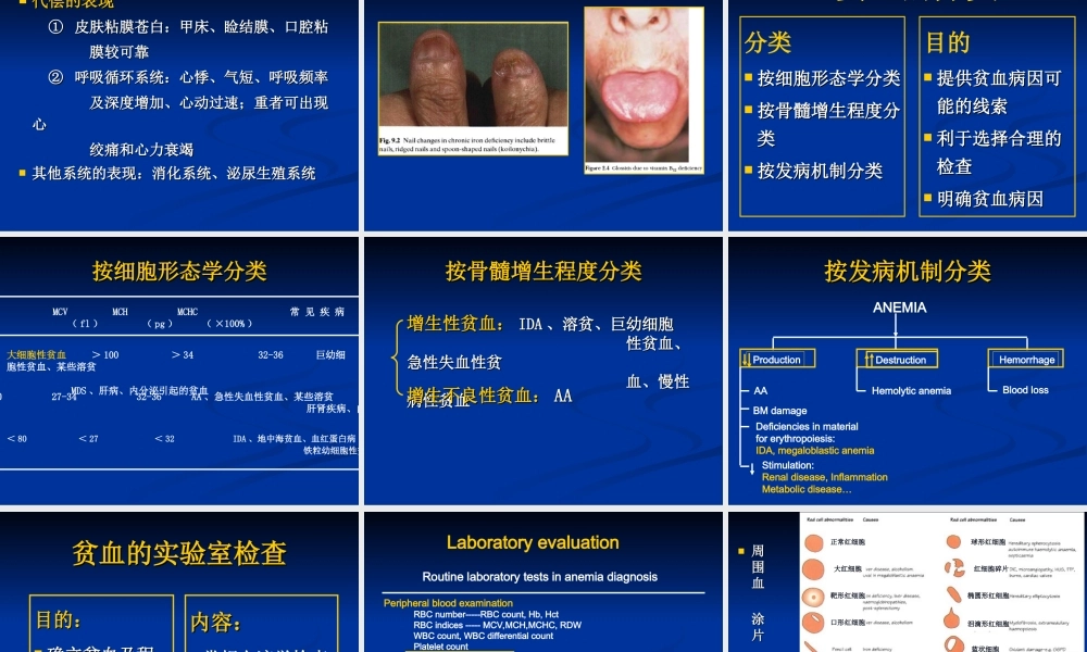 儿科贫血概述.ppt