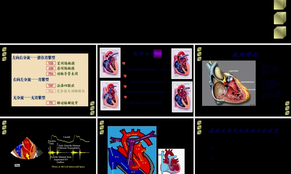 先天性心脏病血液动力学改变.pptx