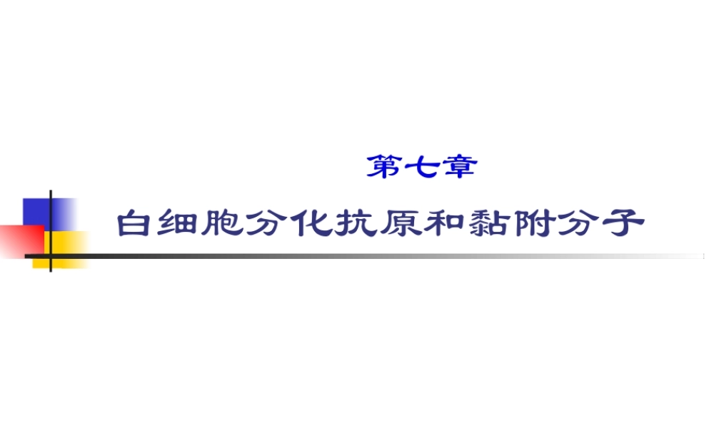 免疫学--白细胞分化抗原.pptx