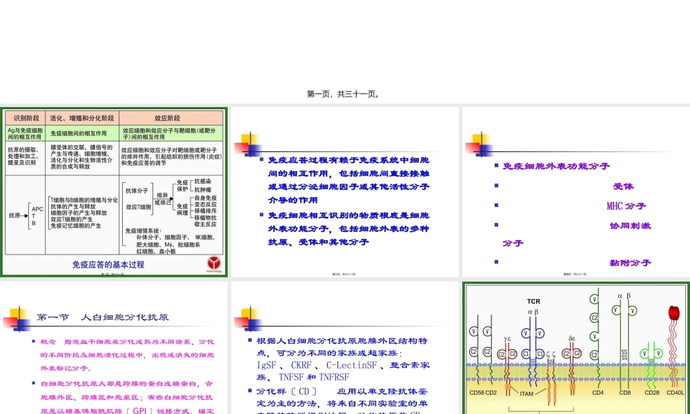 免疫学--白细胞分化抗原.pptx