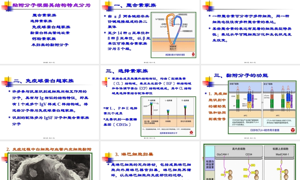 免疫学--白细胞分化抗原.pptx