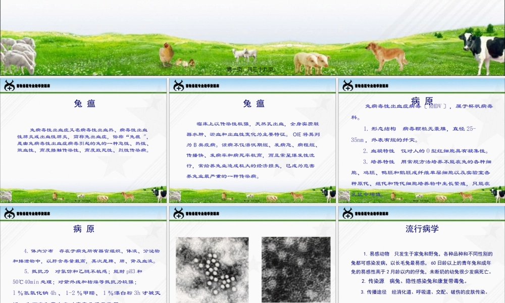 兔病防治-兔瘟..pptx