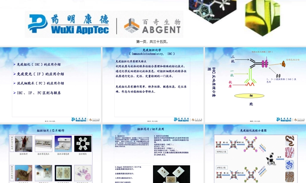 免疫组化、免疫荧光、流式细胞术的应用比较及常见问题分析.pptx