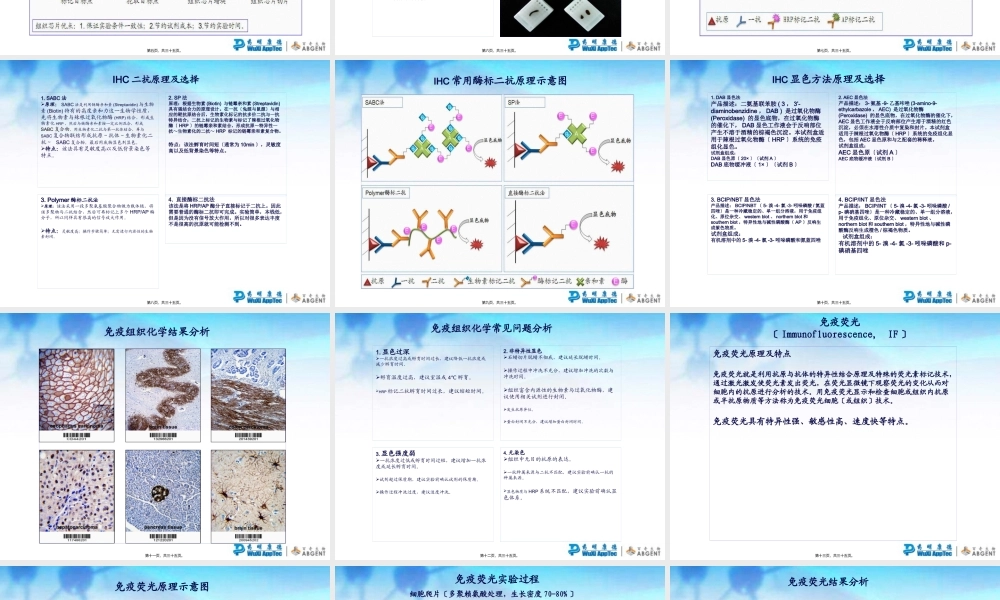 免疫组化、免疫荧光、流式细胞术的应用比较及常见问题分析.pptx