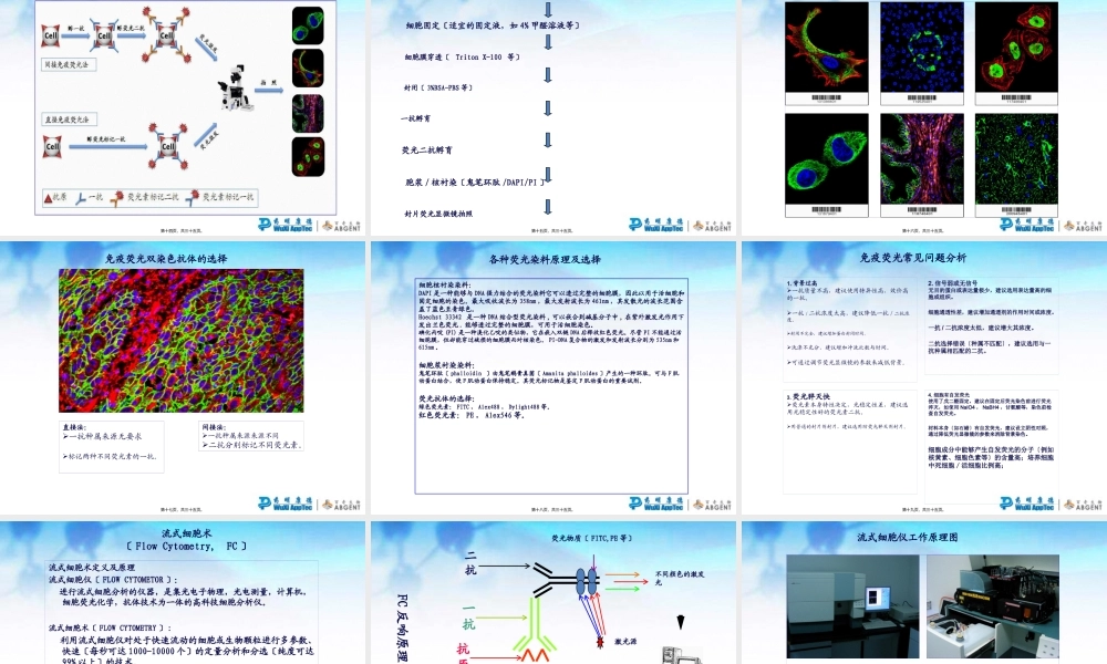 免疫组化、免疫荧光、流式细胞术的应用比较及常见问题分析.pptx