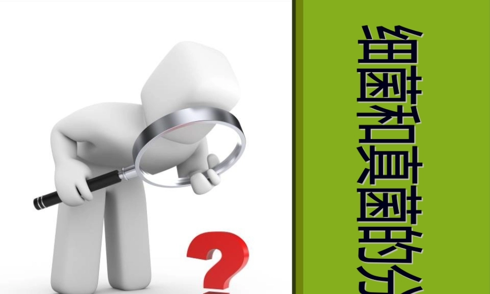 八年级人教上第四章第一节细菌和真菌的分布.pptx