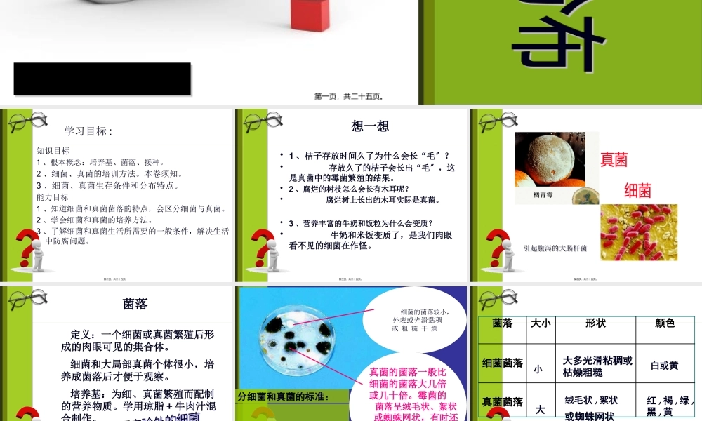 八年级人教上第四章第一节细菌和真菌的分布.pptx