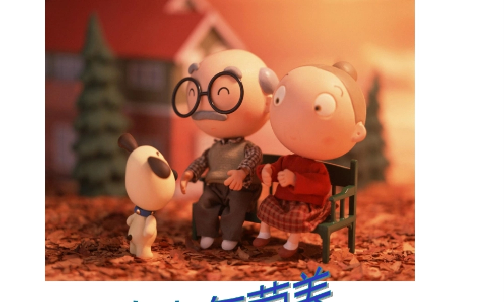 公共营养师课程(十六)中老年营养.pptx