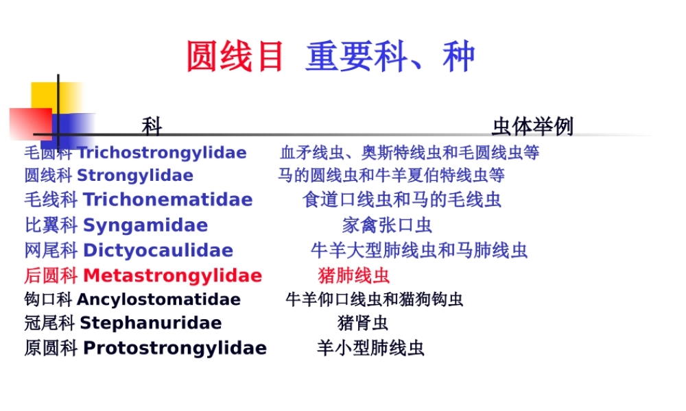 六-猪肺线虫病.pptx