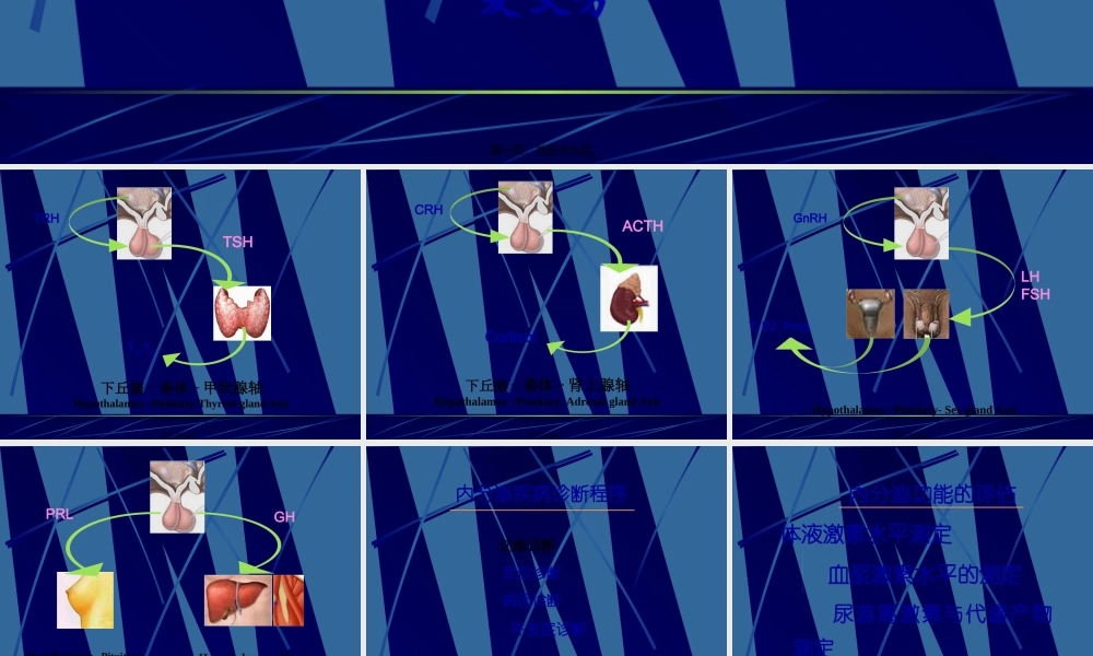 内分泌功能试验.pptx